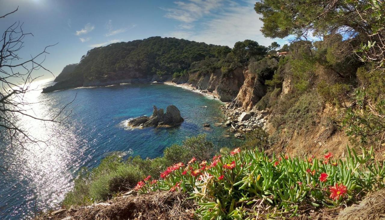 Studio Proche Port Et Plages, Piscine Hyeres Bagian luar foto